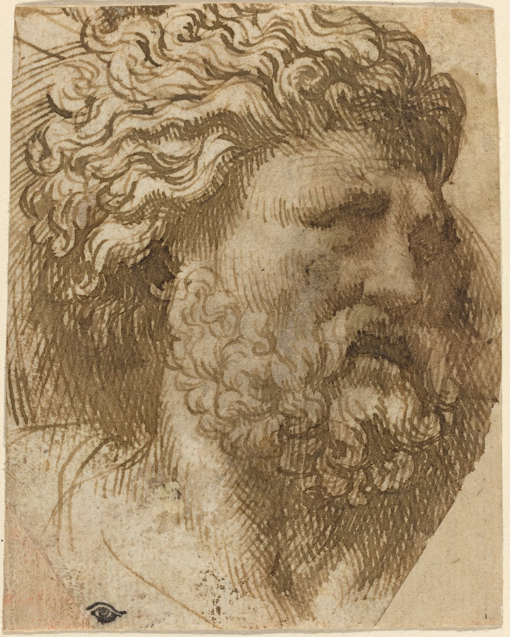 Kopf eines Mannes von Domenico Campagnola