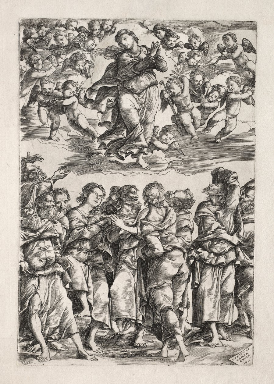 Mariä Himmelfahrt von Domenico Campagnola