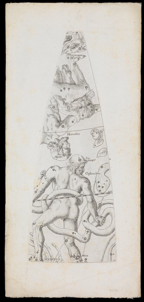 Himmelsglobus von Domenico de