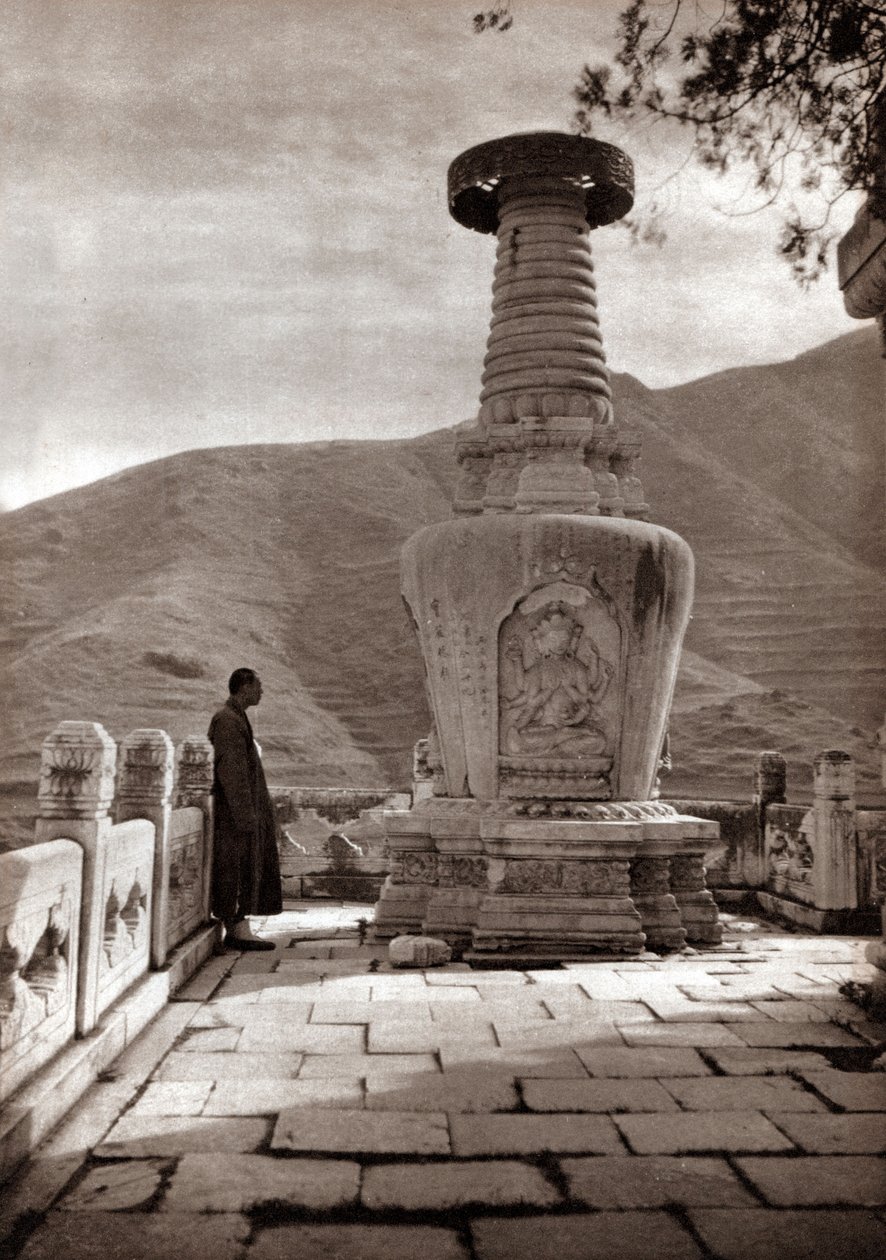 Marmorsentinel, Peking von Donald Mennie