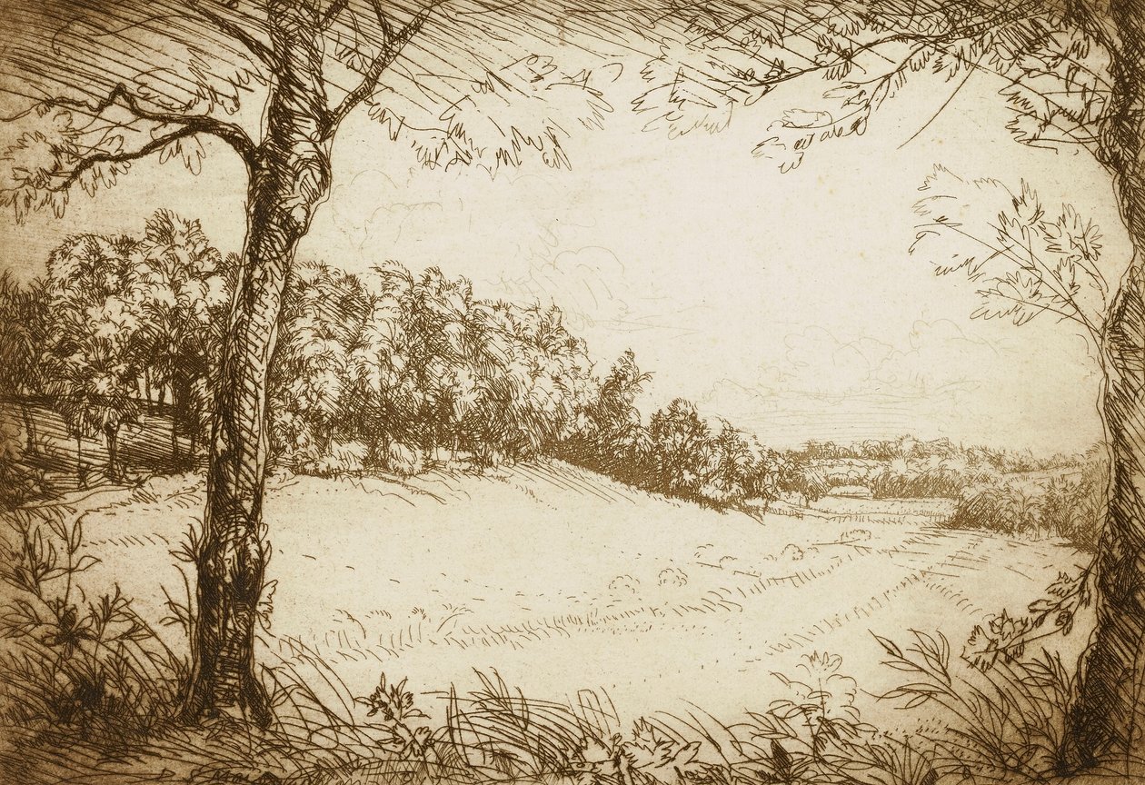 Sommermorgen in Tennessee von Donald Shaw MacLaughlan