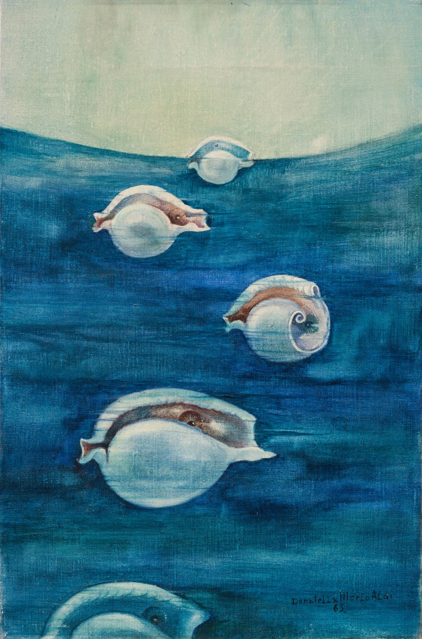Migration von Donatella Merlo