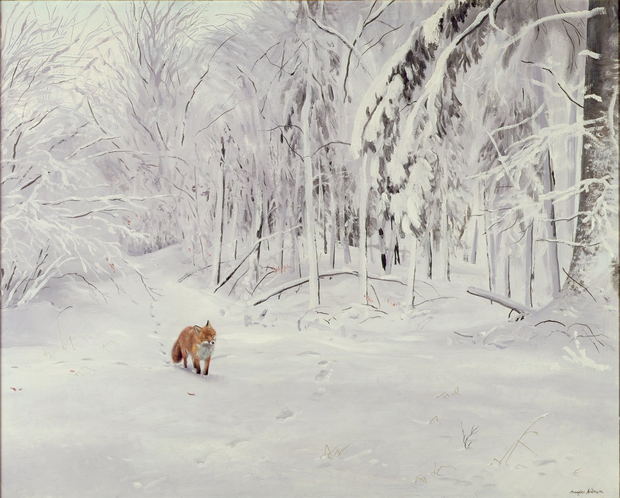 Fuchs im tiefen Schnee von Douglas Anderson