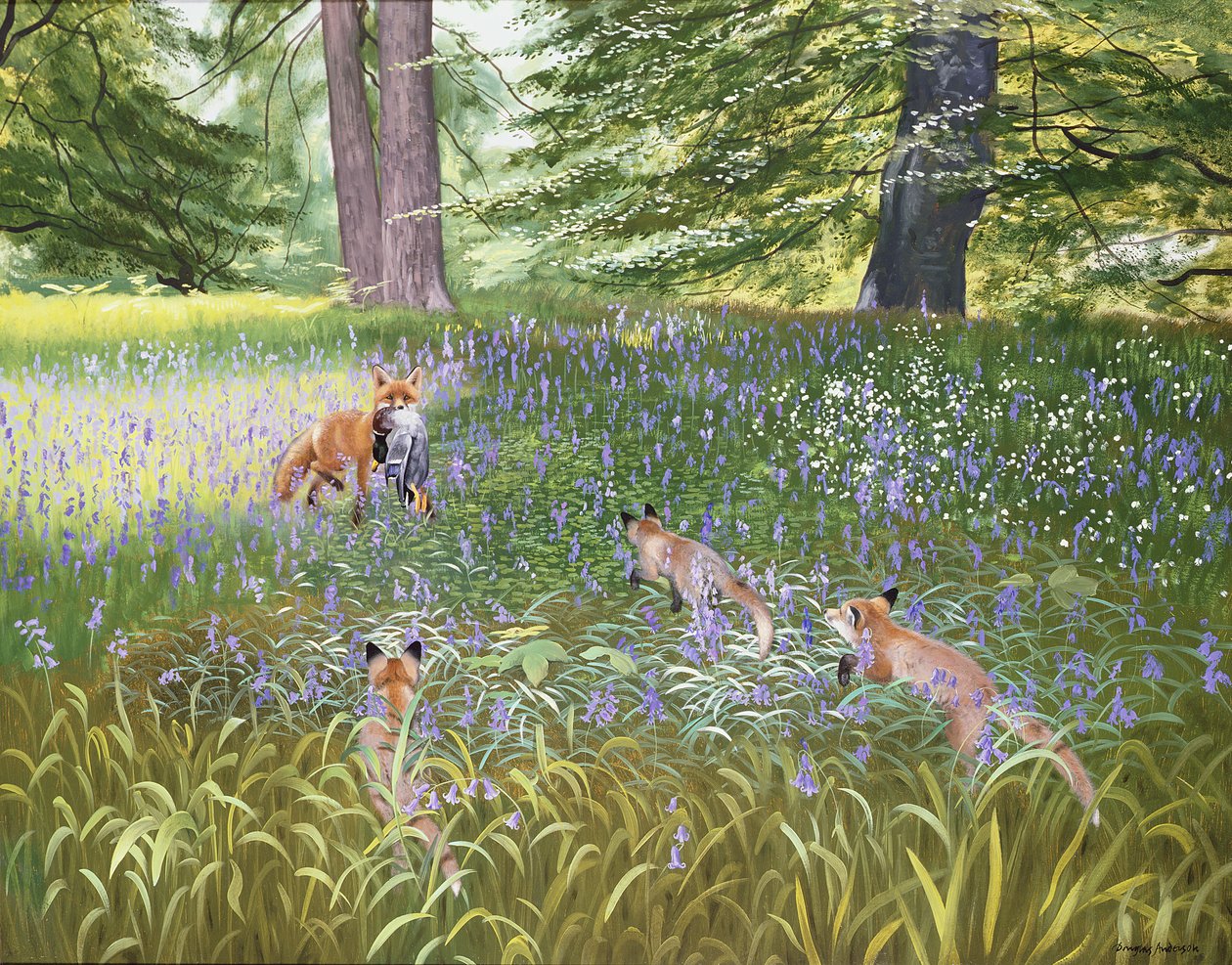 Füchse in Glockenblumen von Douglas Anderson
