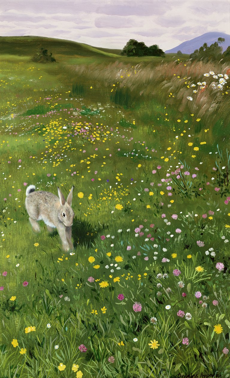 Hase in Frühlingsblumen von Douglas Anderson
