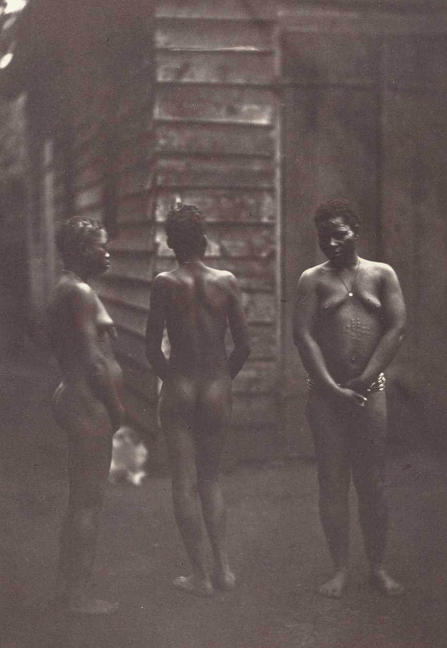 Trois Femmes Malgaches (Platte 30) von Désiré Charnay