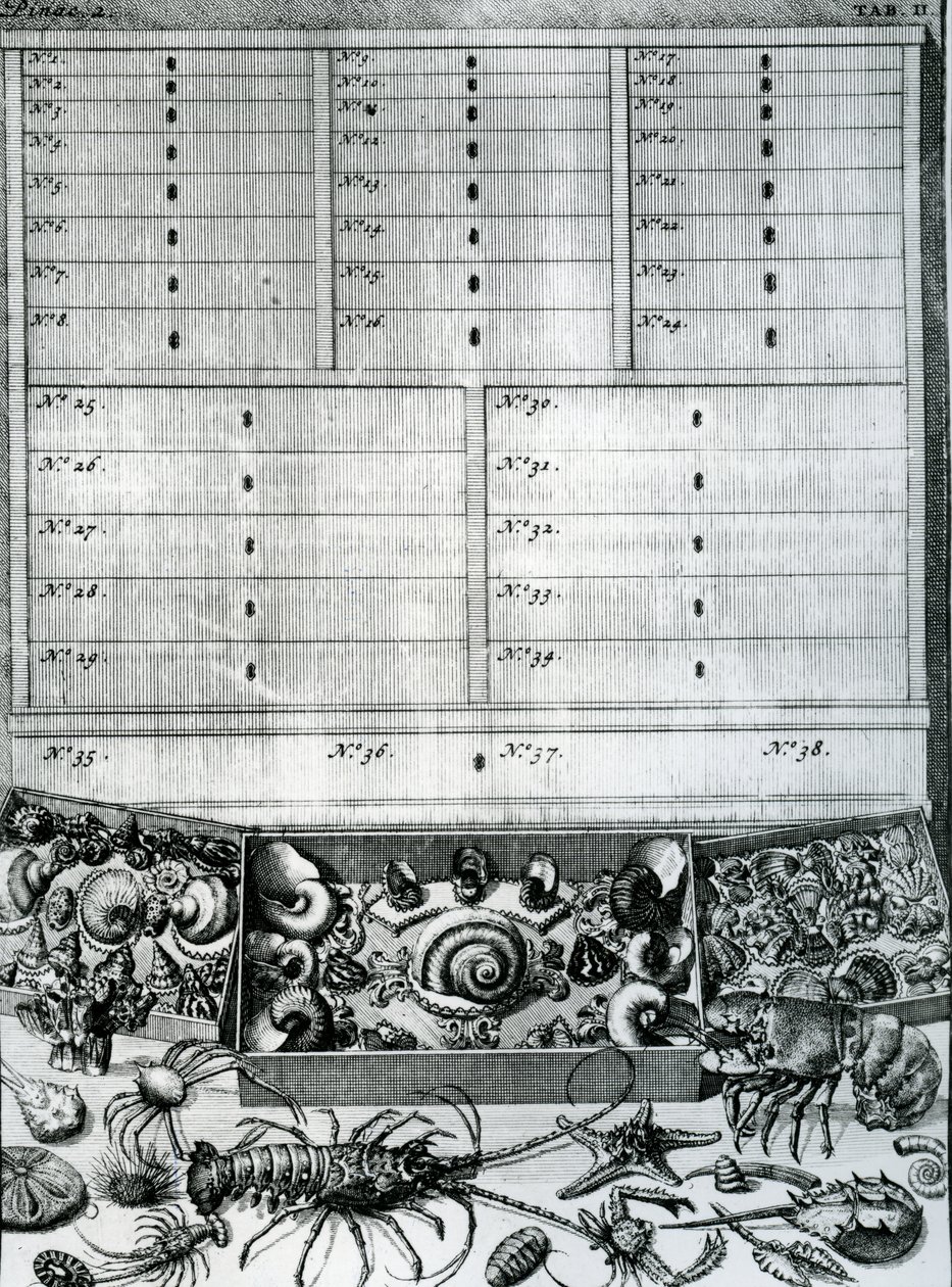 Tafel II aus 