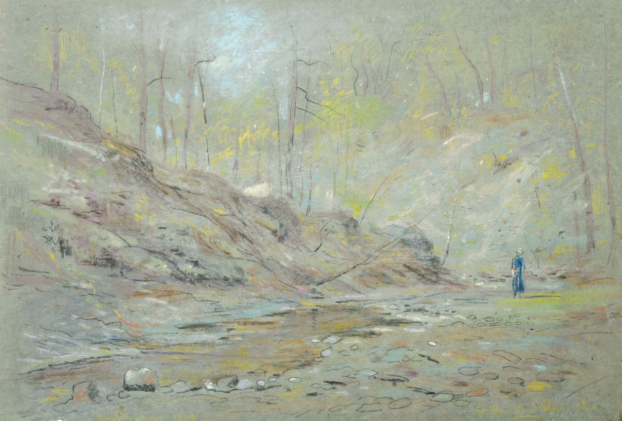 St. Gaudens Glen, Ohio von Dwight Williams