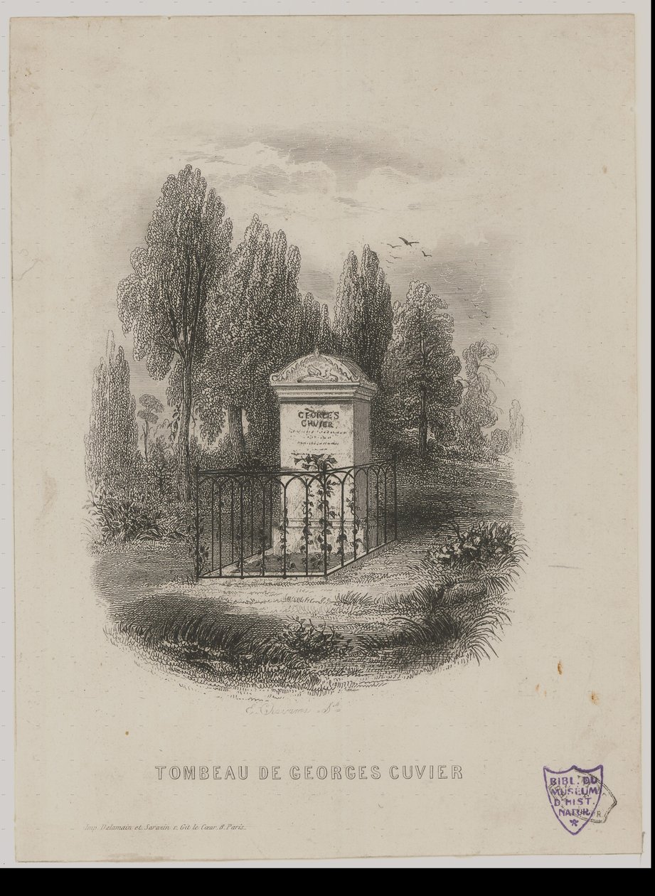 Grabmal von Georges Cuvier von E. Chavanne