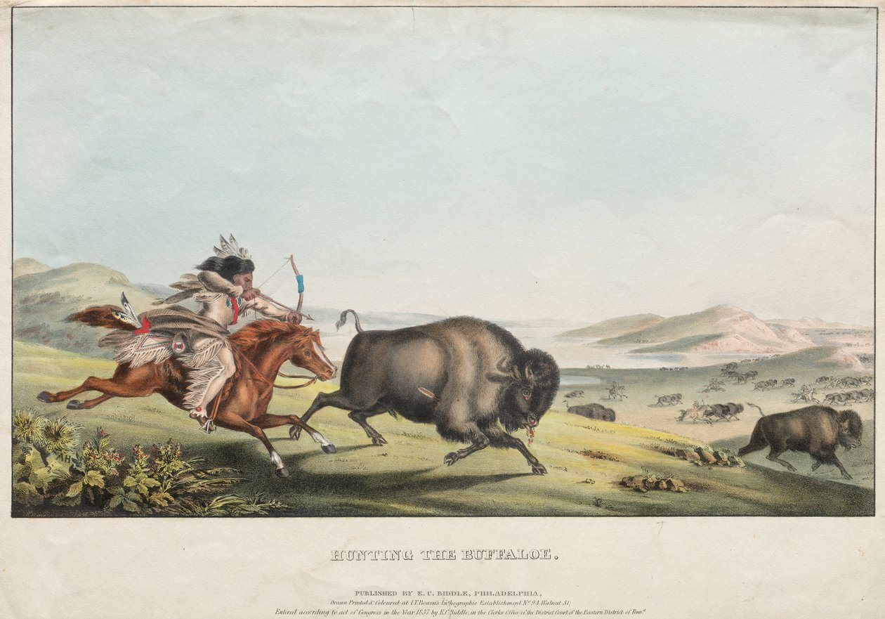 Büffeljagd von E. C. Biddle