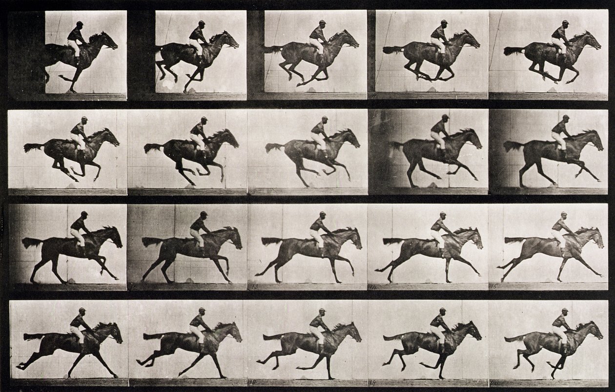 Jockey auf einem galoppierenden Pferd, Platte 627 aus 
