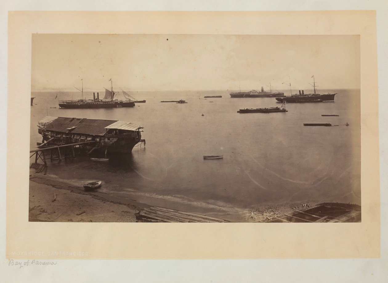 Bucht von Panama von Eadweard Muybridge