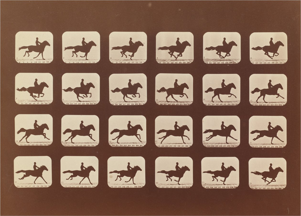 Pferde. Rennen. Phyrne L. Nr. 40 von Eadweard Muybridge