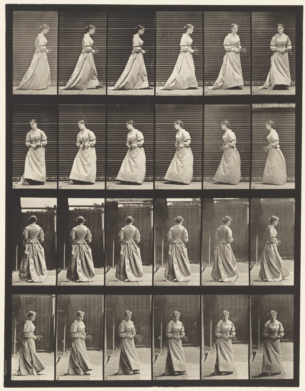 Drehen und Treppensteigen von Eadweard Muybridge