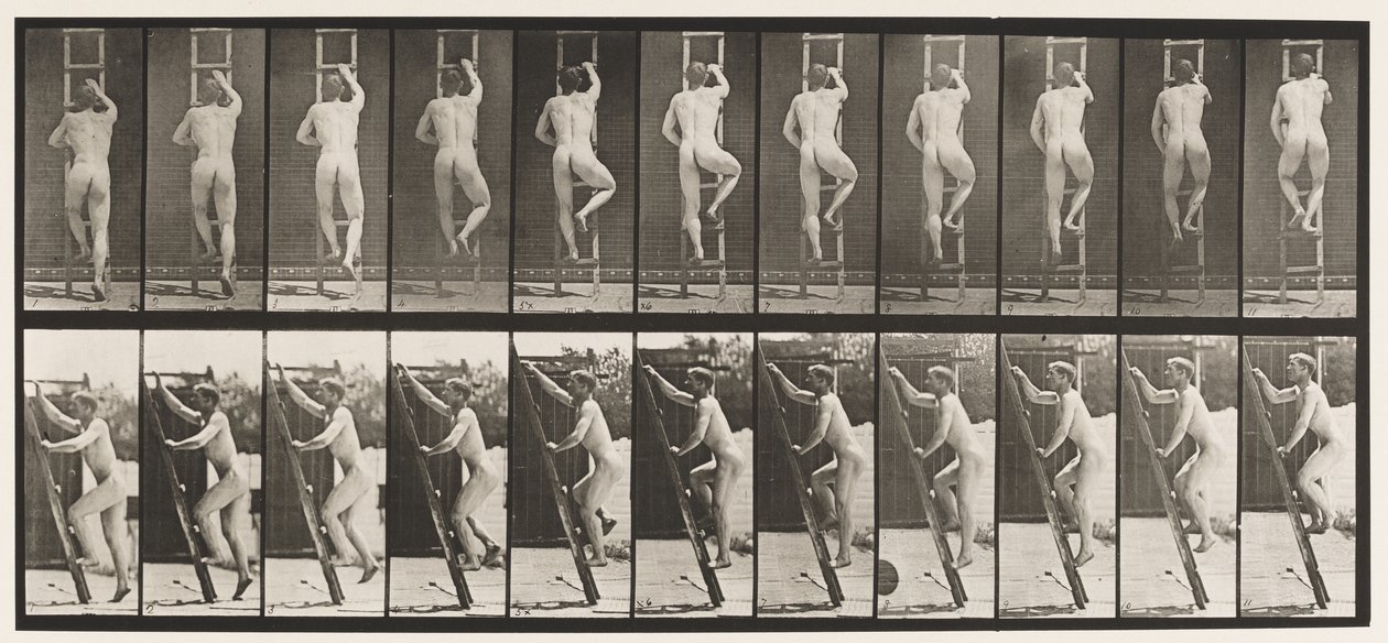 Tafel 111. Leiter hinaufsteigen von Eadweard Muybridge