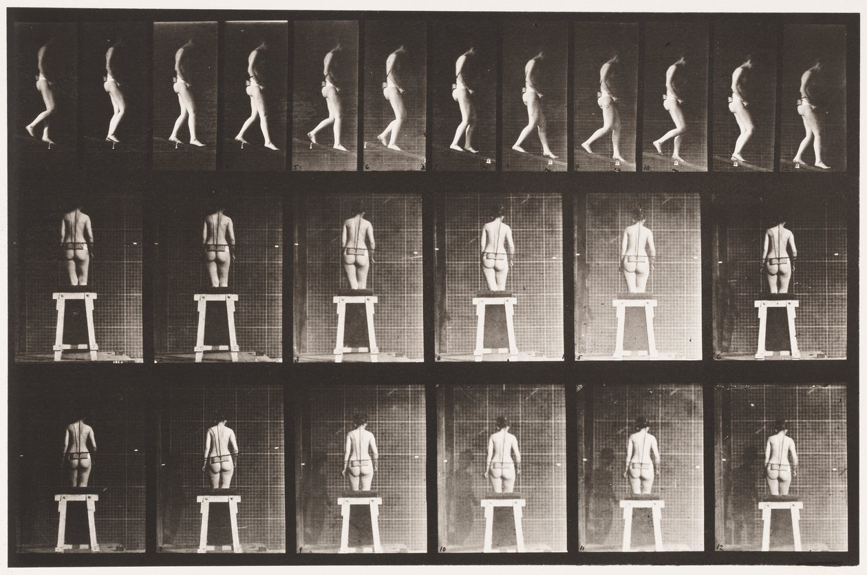 Tafel 118. Steigung hinabsteigen von Eadweard Muybridge