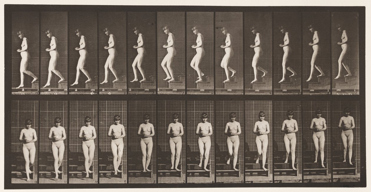 Tafel 128. Treppenabstieg, gefaltete Hände von Eadweard Muybridge