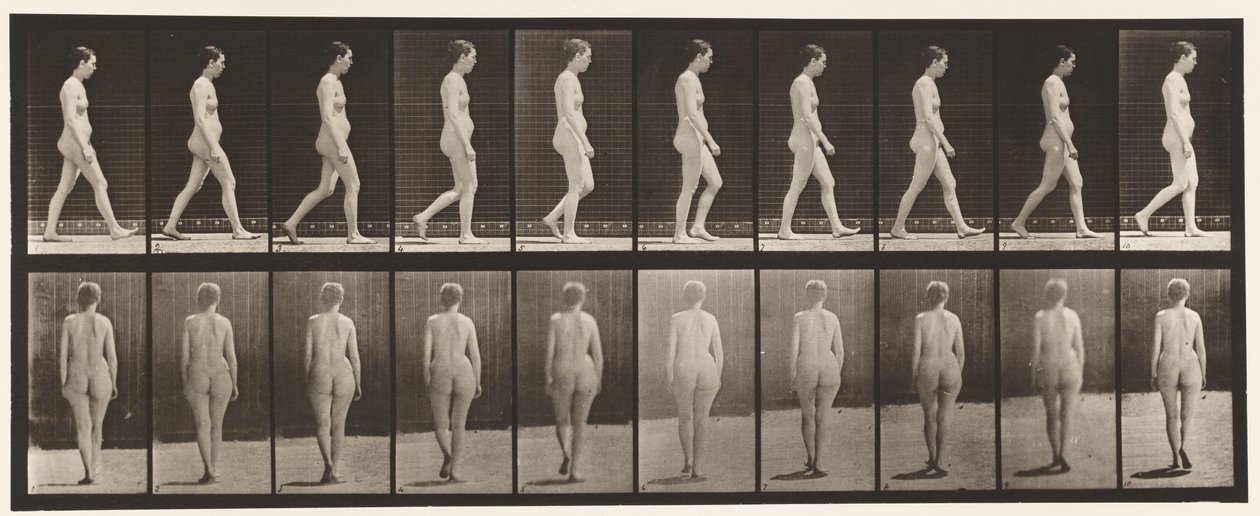 Tafel 15. Gehen von Eadweard Muybridge