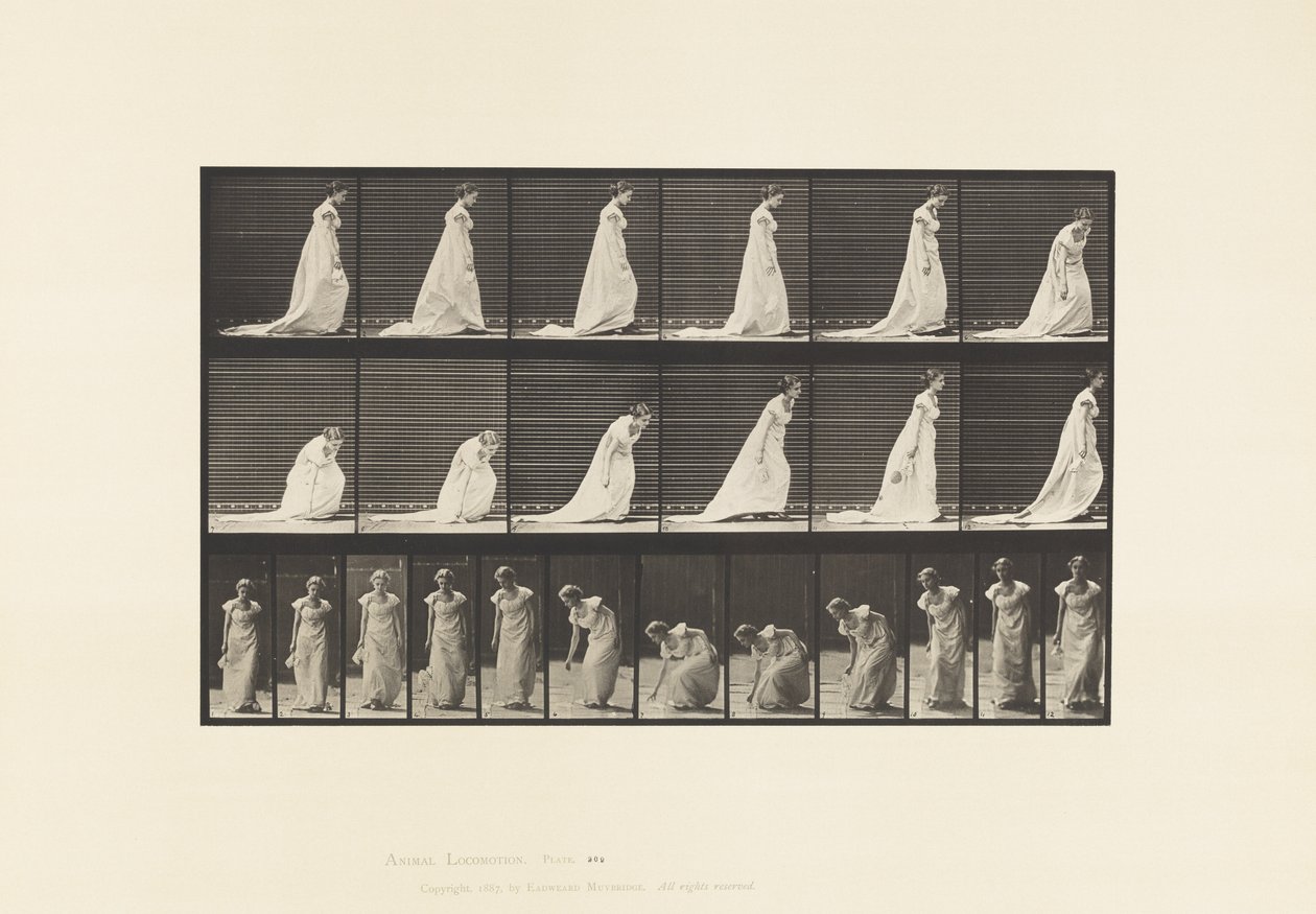 Tafel 209. Bücken und Aufheben eines Taschentuchs, 1885 von Eadweard Muybridge