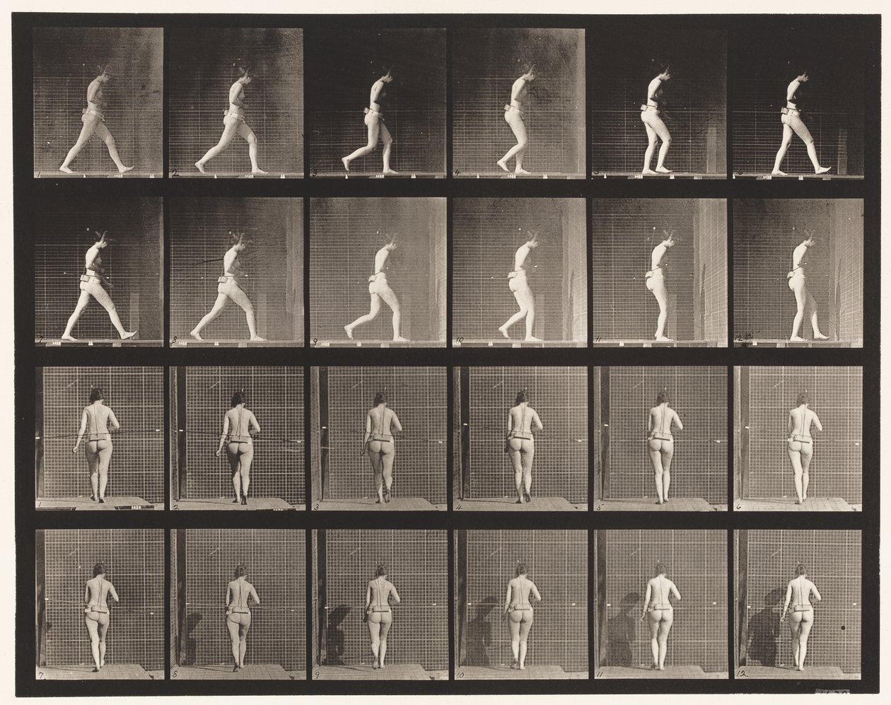Tafel 20. Gehen, rechter Ellbogen gebeugt von Eadweard Muybridge