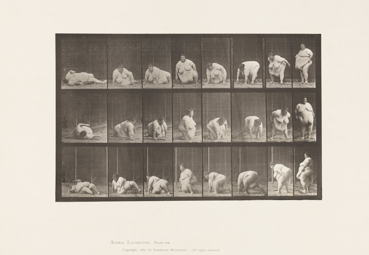 Tafel 268. Vom Boden aufstehen von Eadweard Muybridge
