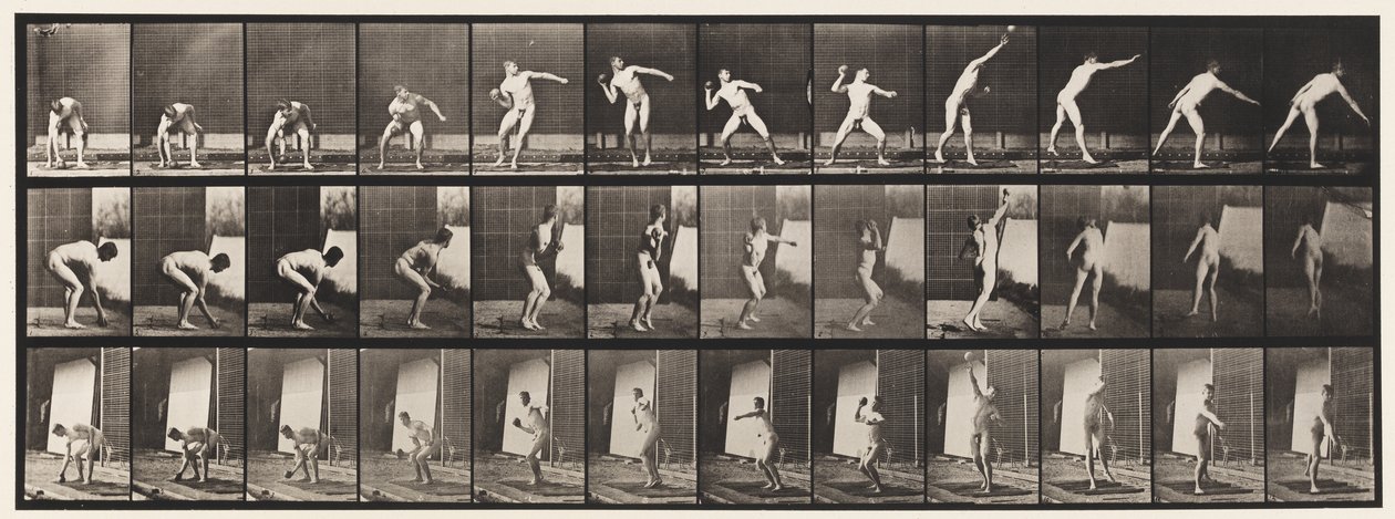 Tafel 310. Kugelstoßen von Eadweard Muybridge