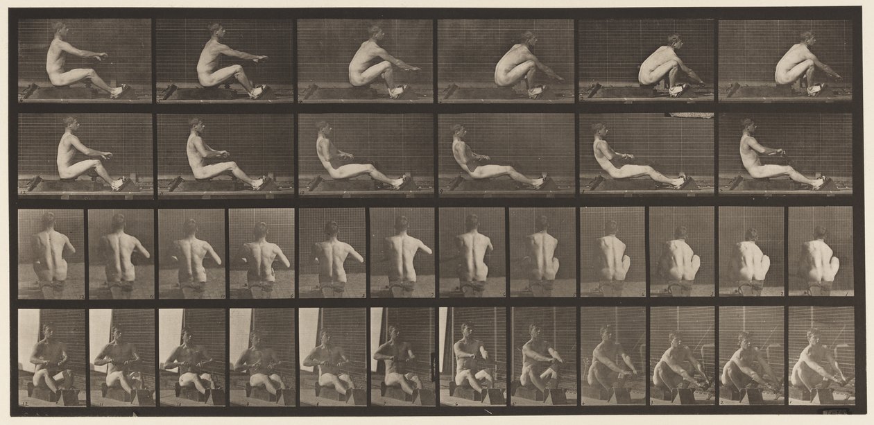 Tafel 328. Rudern von Eadweard Muybridge