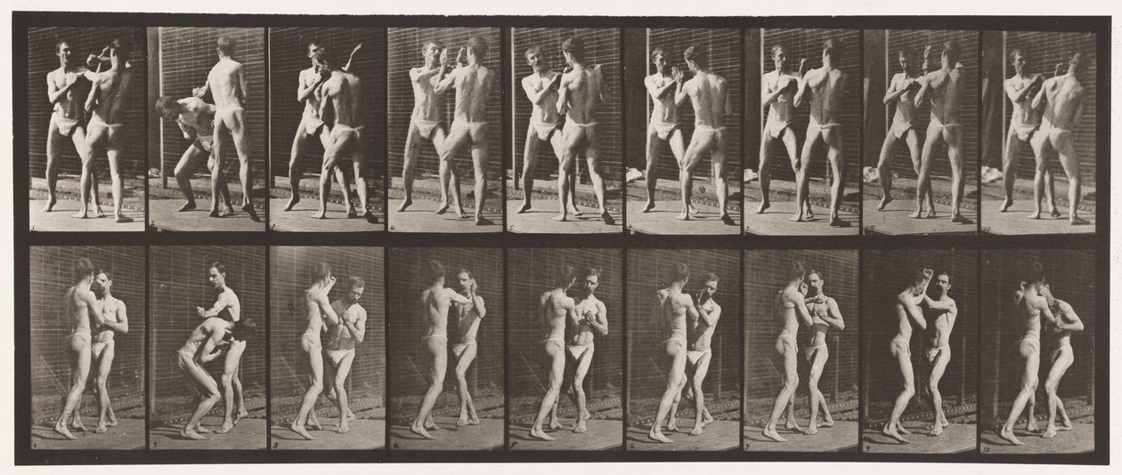 Tafel 337. Boxen; Offene Hand von Eadweard Muybridge