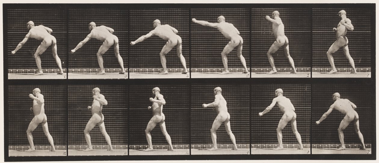 Tafel 343. Einen Schlag ausführen (linke Hand) von Eadweard Muybridge