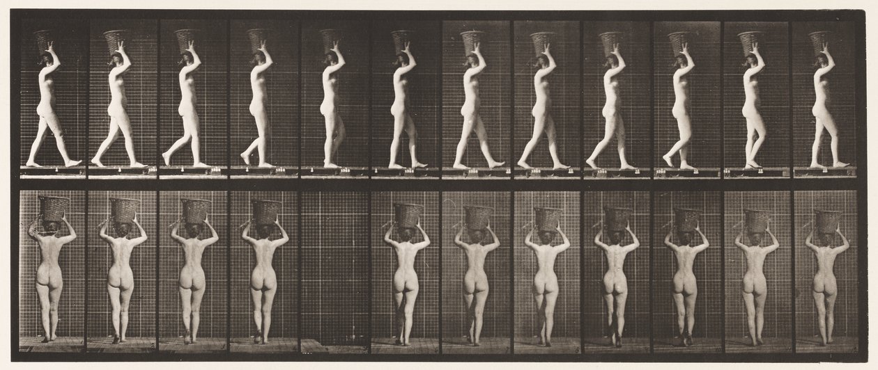 Tafel 34. Gehen von Eadweard Muybridge