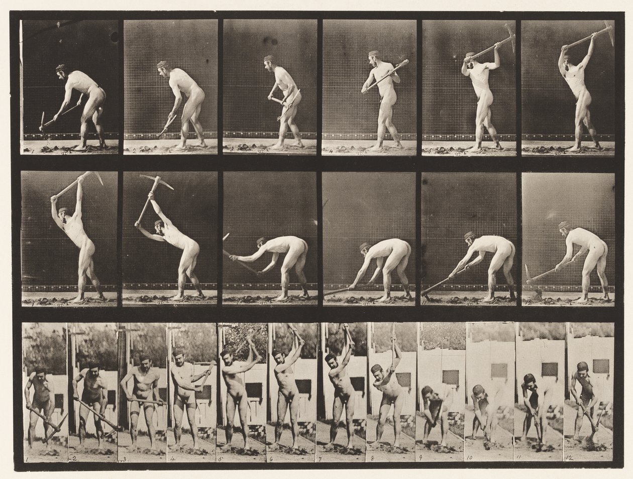 Tafel 385. Bauer, mit einer Hacke, 1872-1885 von Eadweard Muybridge