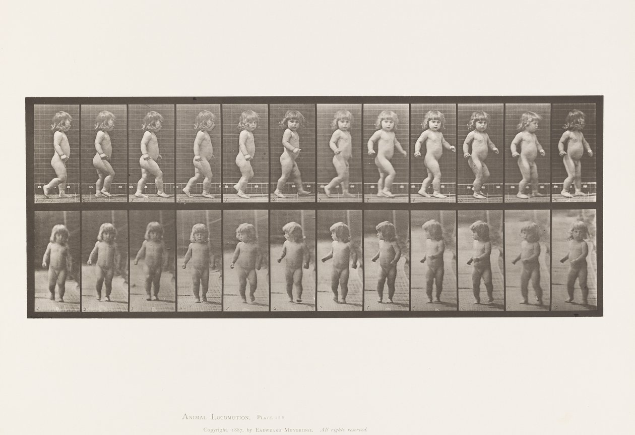 Tafel 468. Kind, Gehen von Eadweard Muybridge