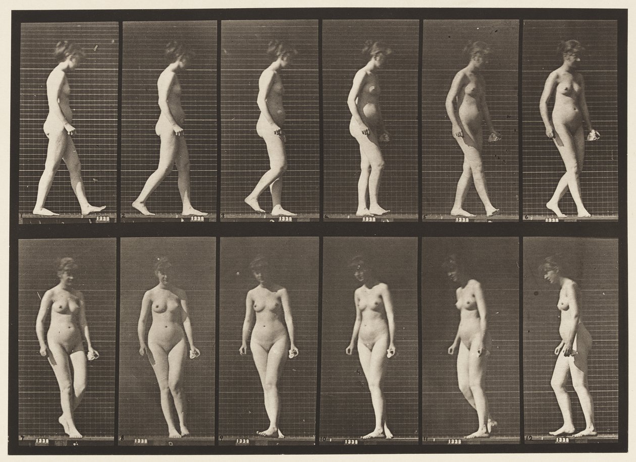 Tafel 47. Gehen und sich umdrehen von Eadweard Muybridge