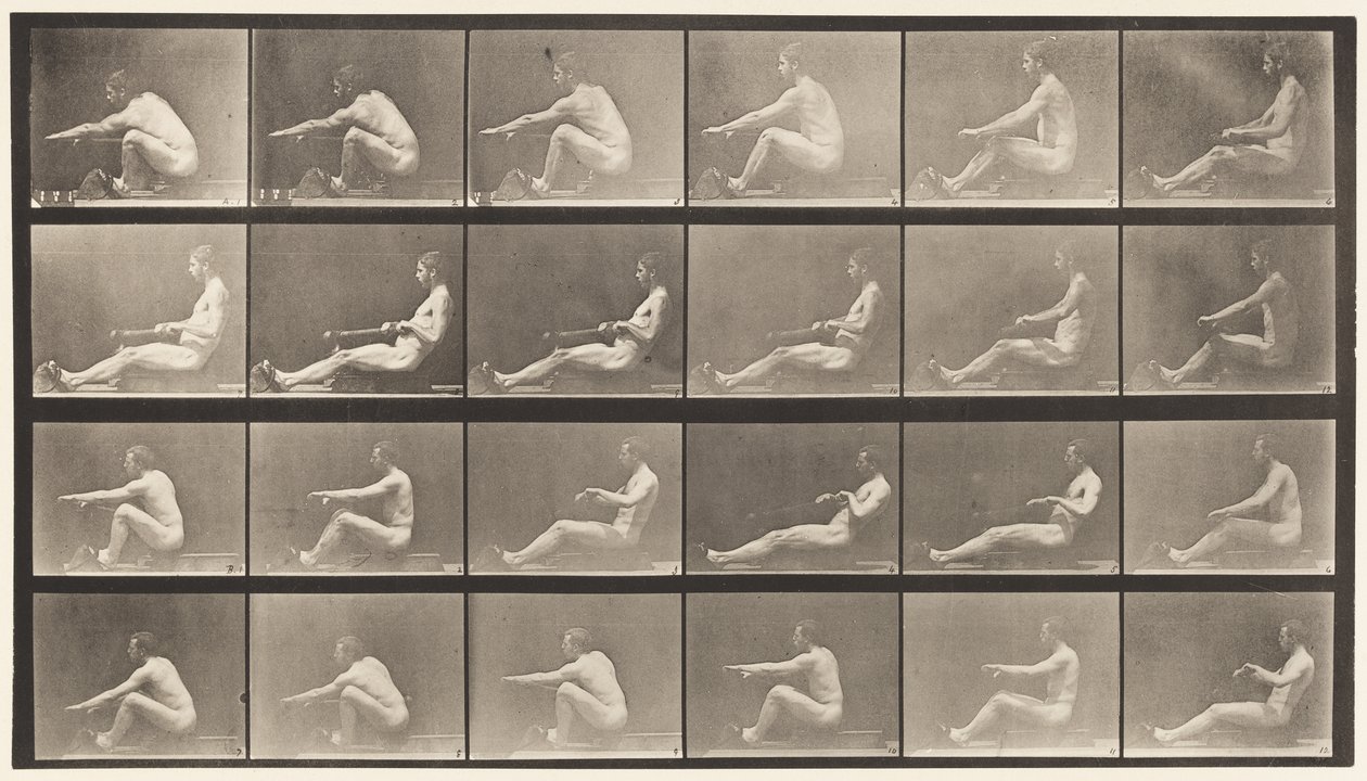 Tafel 492. A von Eadweard Muybridge
