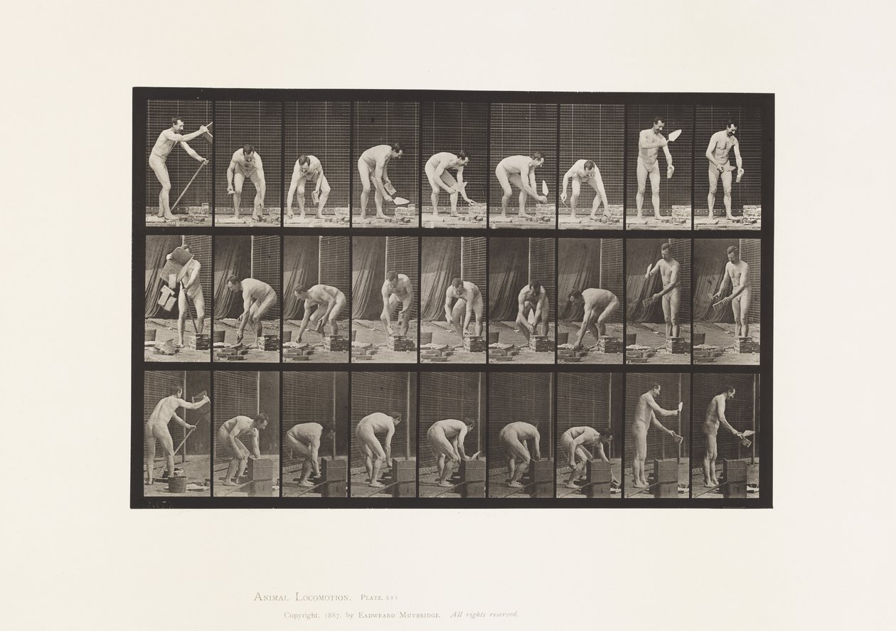 Tafel 505. Mauern von Eadweard Muybridge