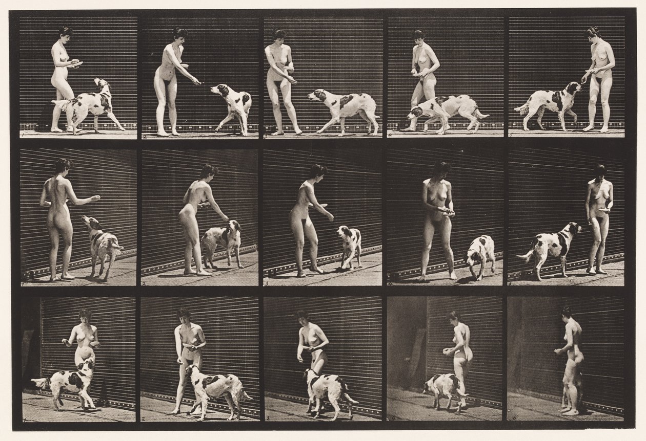 Einen Hund füttern von Eadweard Muybridge