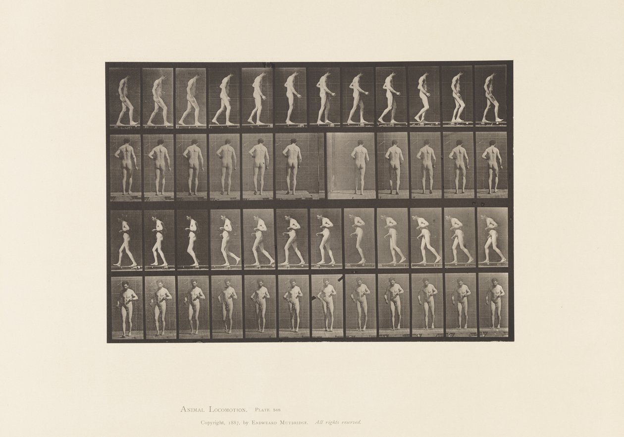 Tafel 548. Lateralsklerose; A, B, Gehen, 1885 von Eadweard Muybridge