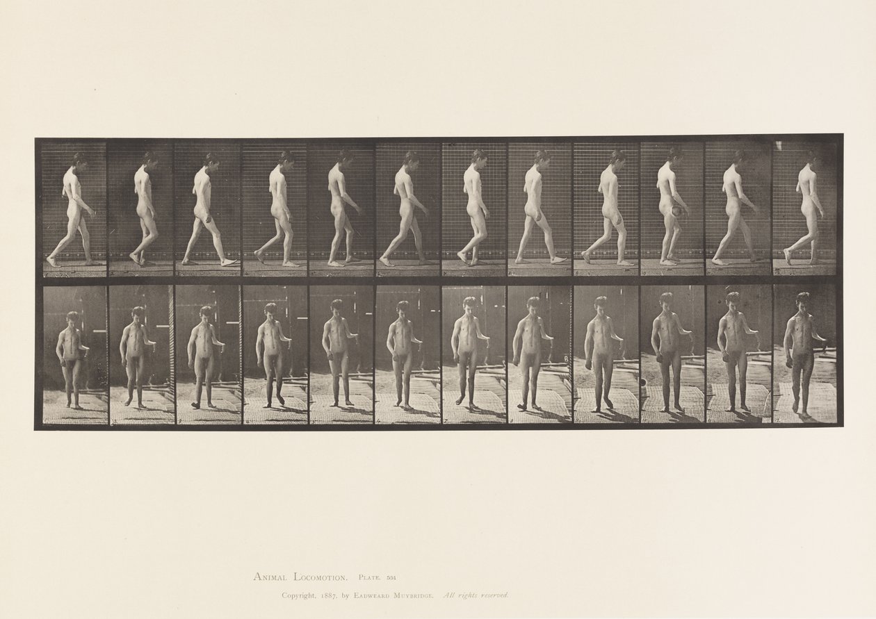 Epilepsie; Gehen von Eadweard Muybridge