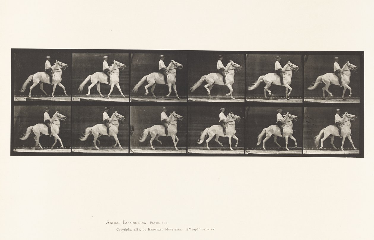 Schlendern von Eadweard Muybridge