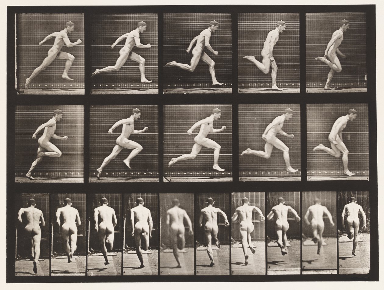 Tafel 63. Laufen mit voller Geschwindigkeit von Eadweard Muybridge