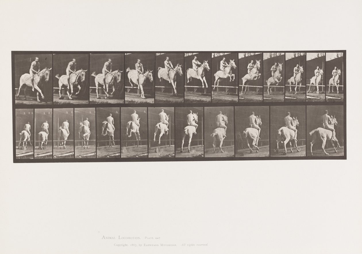 Tafel 647. Springt über ein Hindernis; Ohne Sattel; Reiter von Eadweard Muybridge