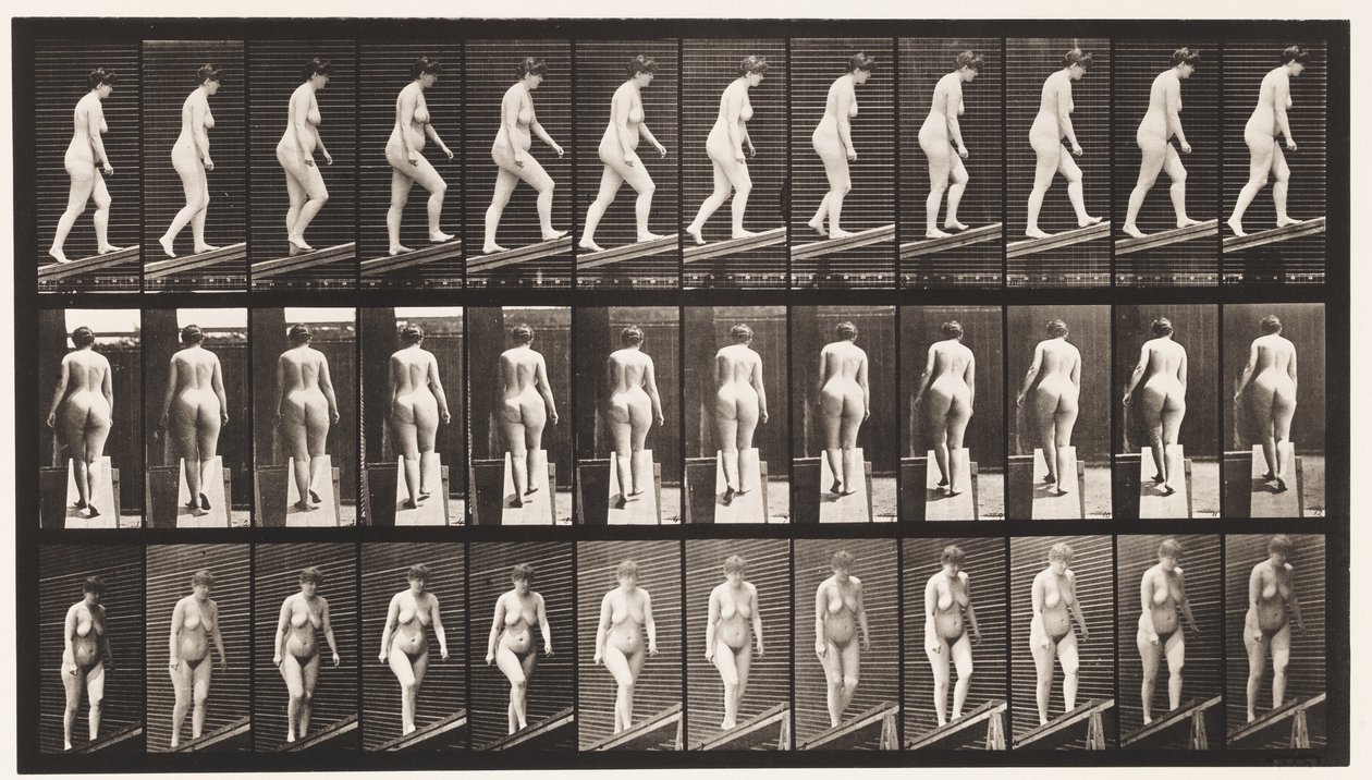 Tafel 77. Steigung hinaufsteigen von Eadweard Muybridge