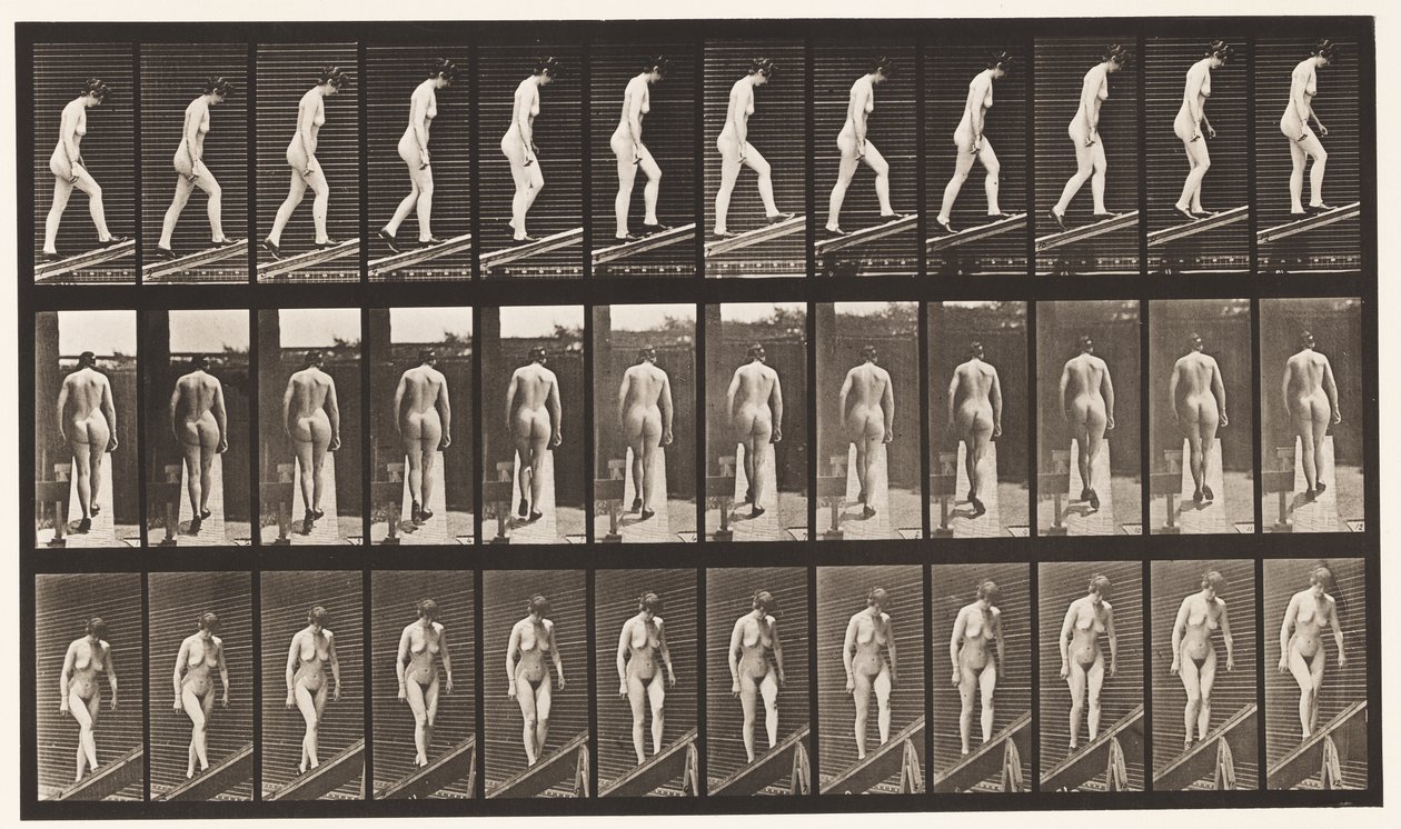 Tafel 85. Steigung hinaufsteigen von Eadweard Muybridge