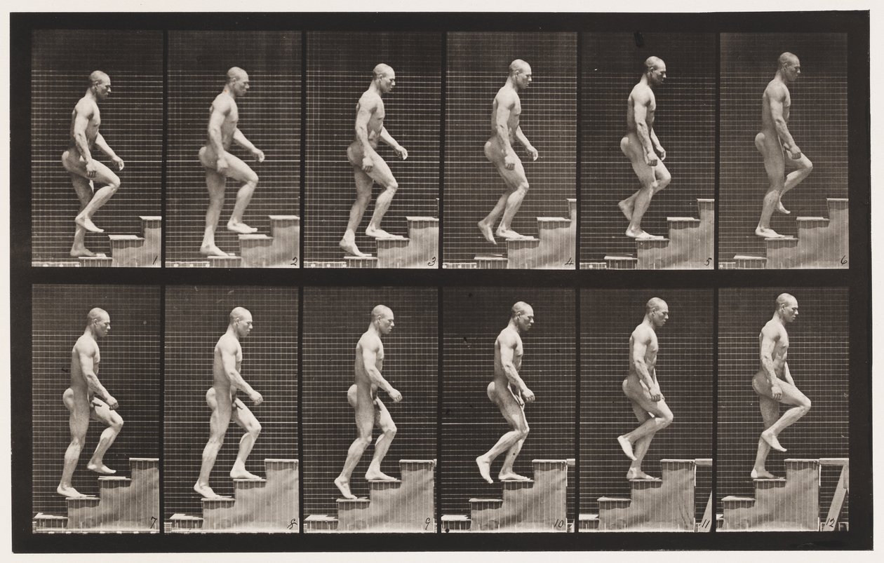 Tafel 91. Treppensteigen von Eadweard Muybridge