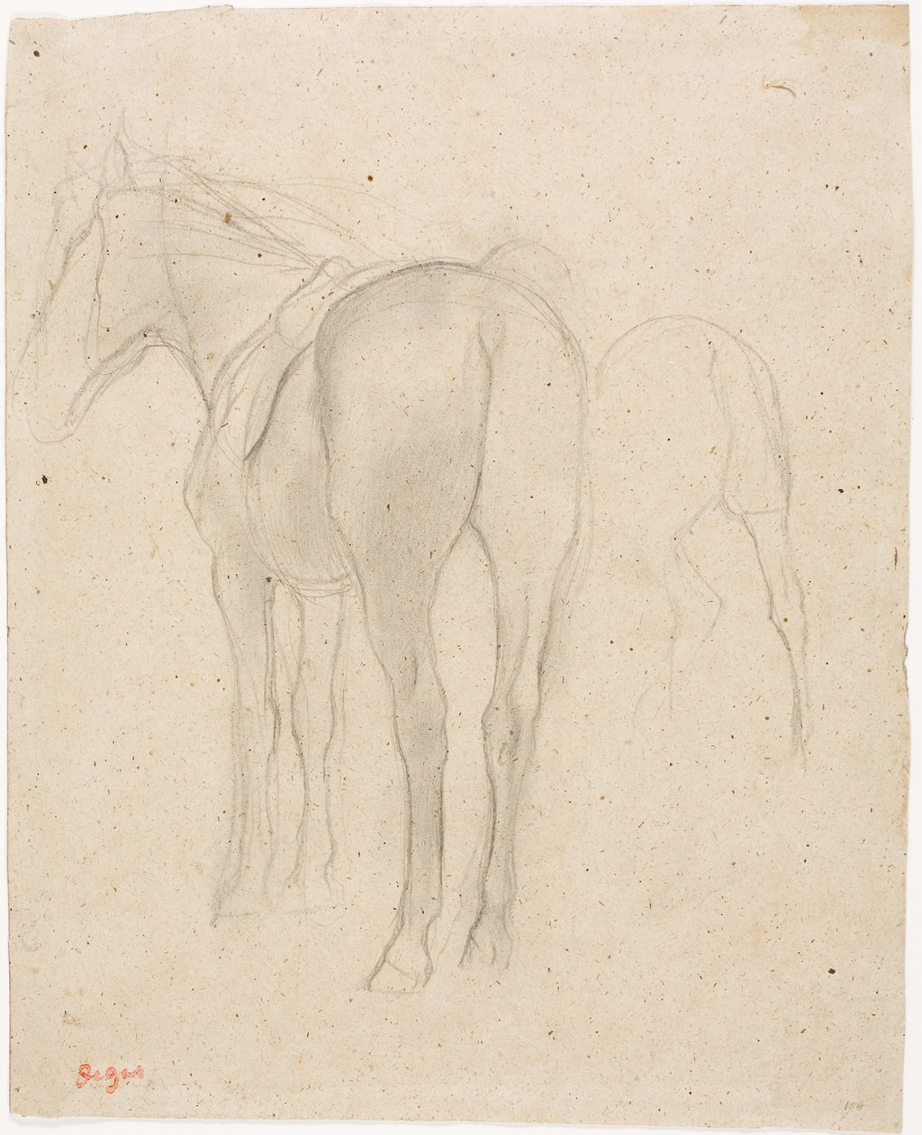 Studien eines Pferdes von Edgar Degas