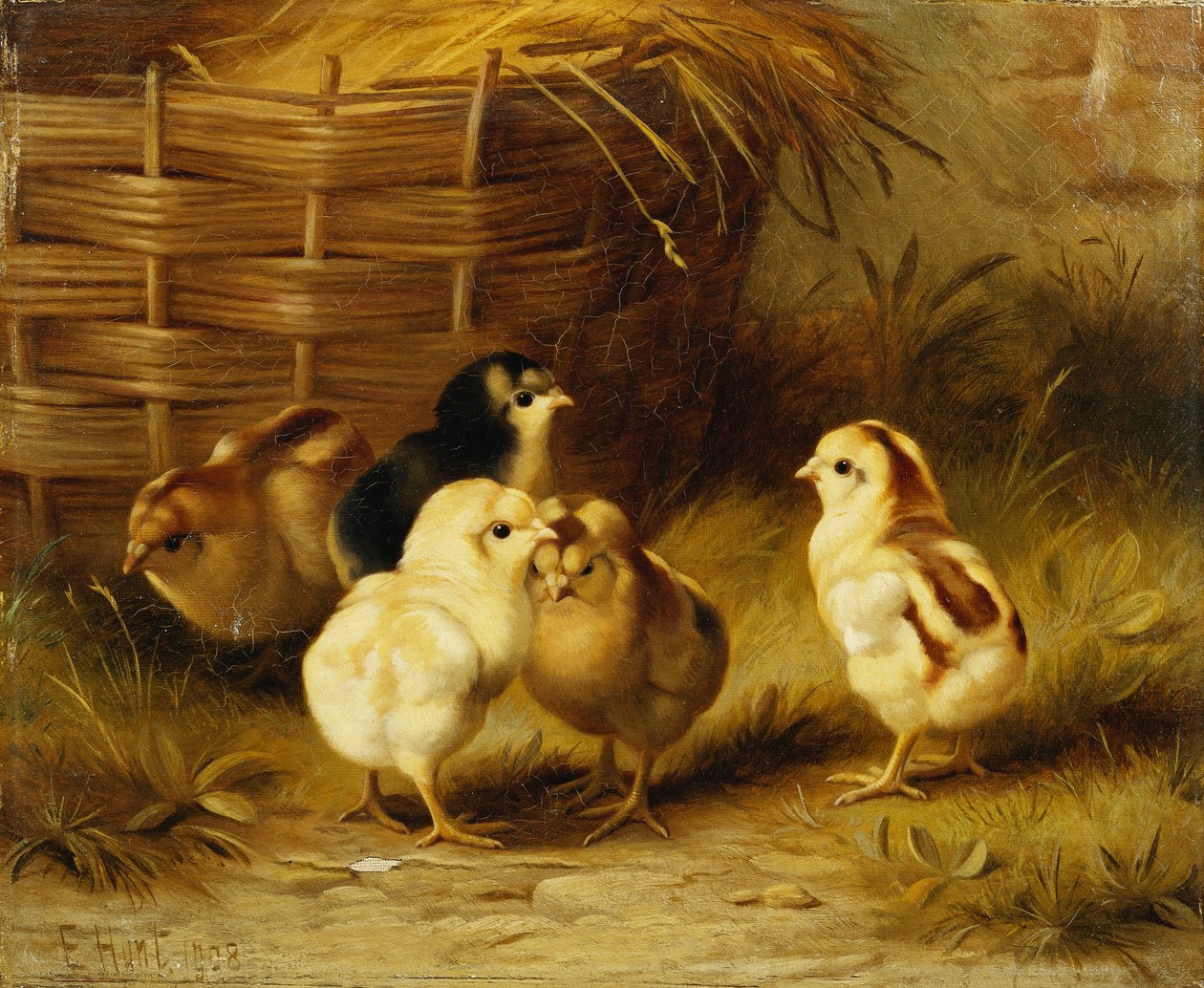 Küken bei einem Korb von Edgar Hunt
