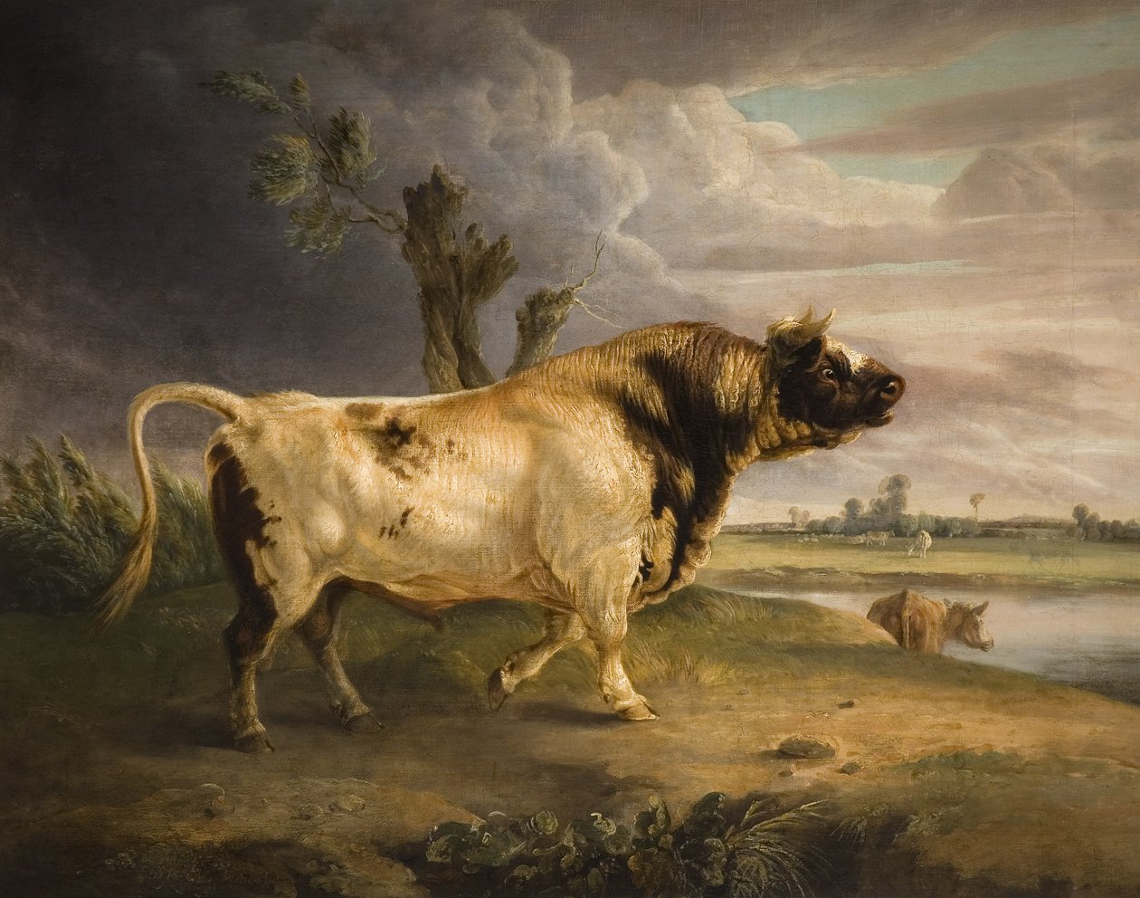 Ein Preisbulle von Edmund Bristow