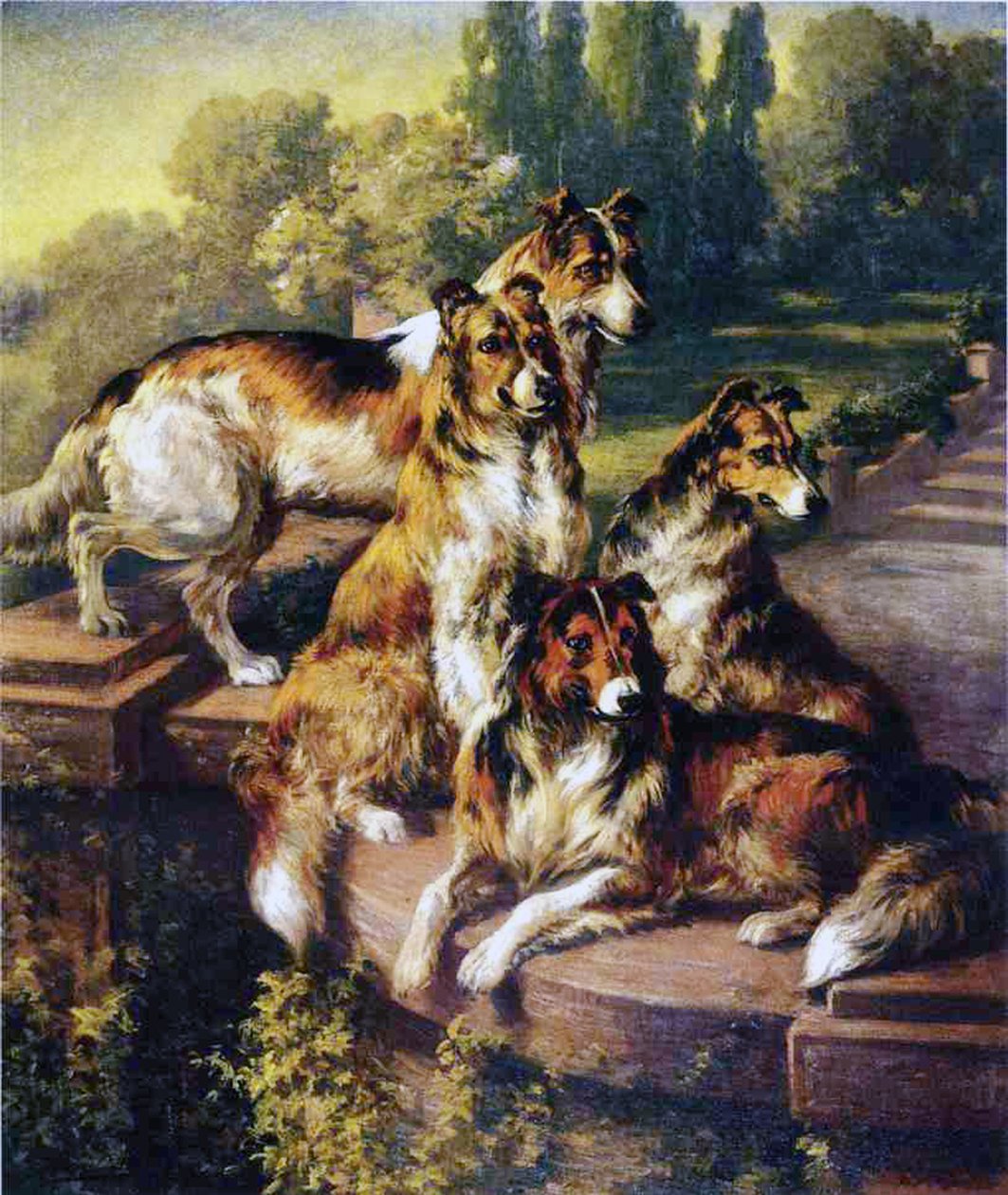 Collies von Edmund Henry Osthaus