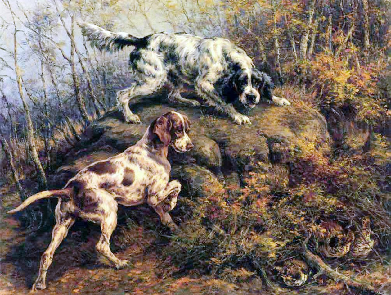 Pointer, Setter und Moorhuhn von Edmund Henry Osthaus