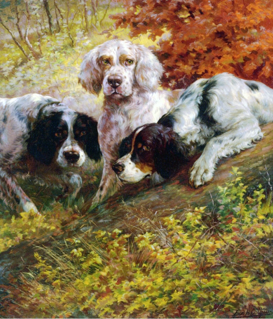 Setter von Edmund Henry Osthaus